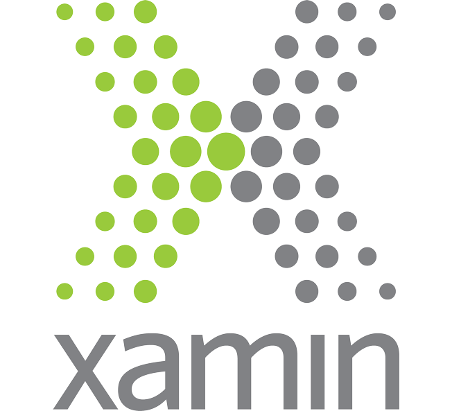 Xamin